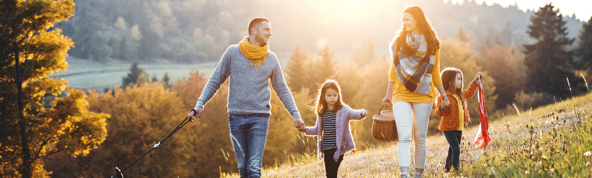 A young family with two small children and a dog on a walk on a meadow at sunset