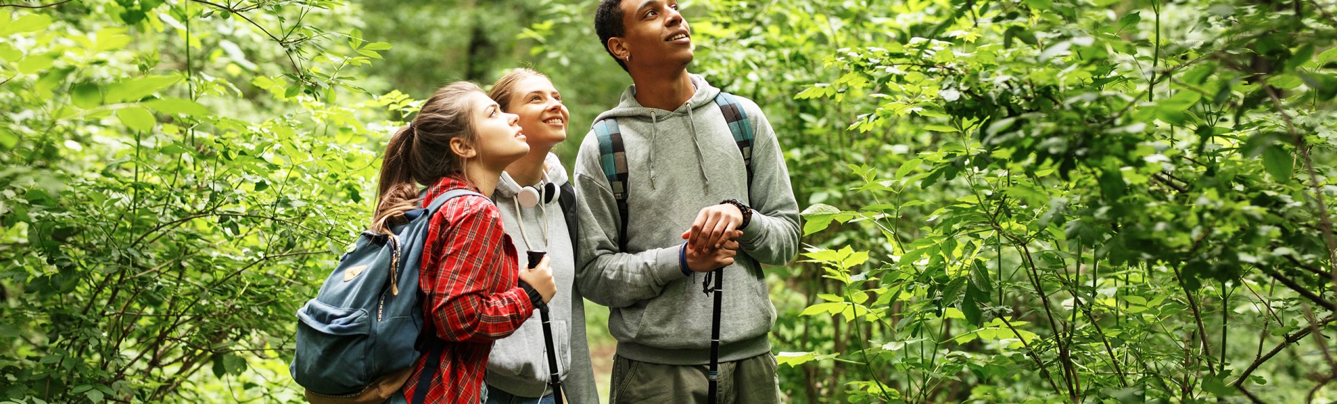 three friends on a hike among trees